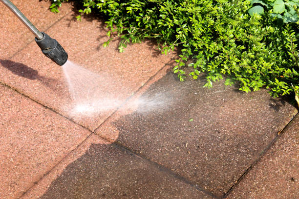 Best Fence Pressure Washing  in Round Lake Beach, IL