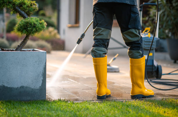 Best Local Pressure Washing Services  in Round Lake Beach, IL
